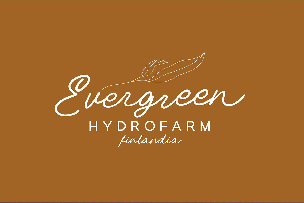 IrishBelle Font Duo 4