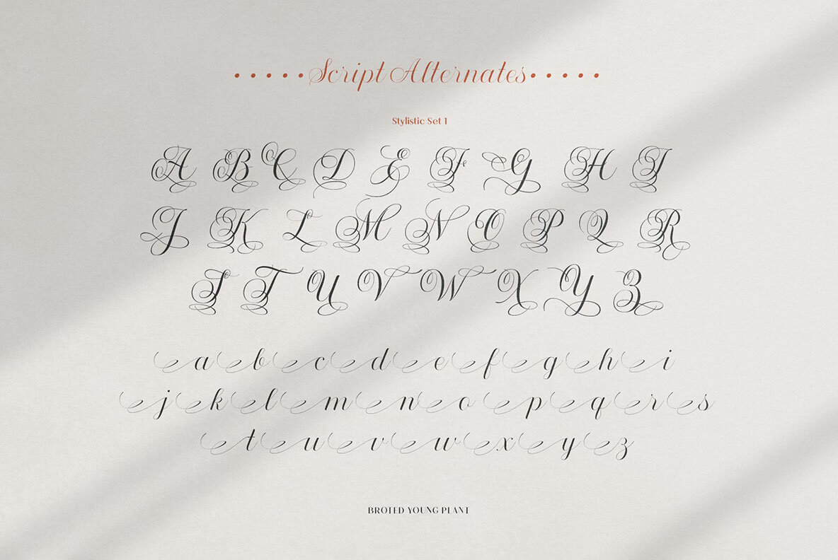 Broted Young Plant Font Duo 6