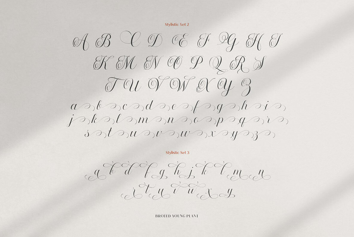 Broted Young Plant Font Duo 7