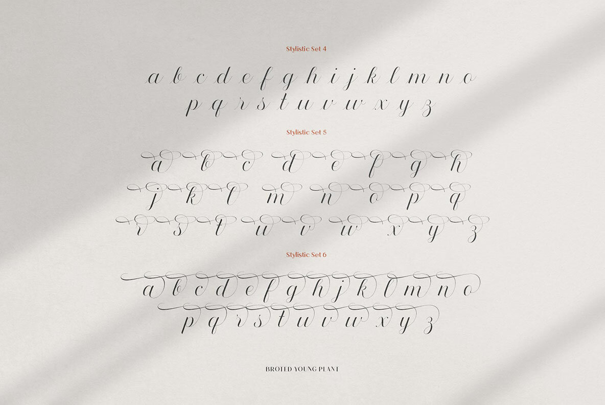 Broted Young Plant Font Duo 8