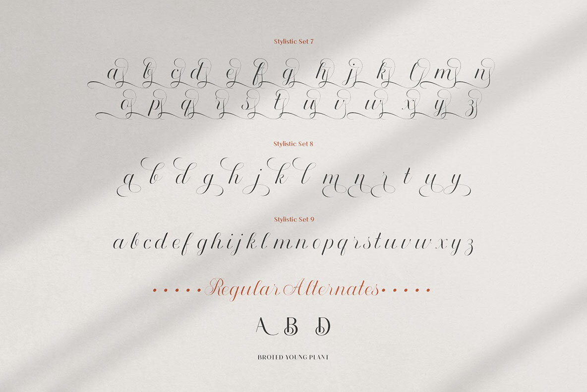 Broted Young Plant Font Duo 9