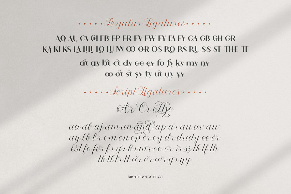 Broted Young Plant Font Duo 11