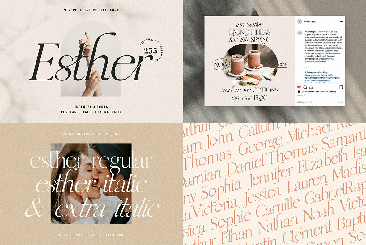 SilverStag   Black Friday Font Bundle 2