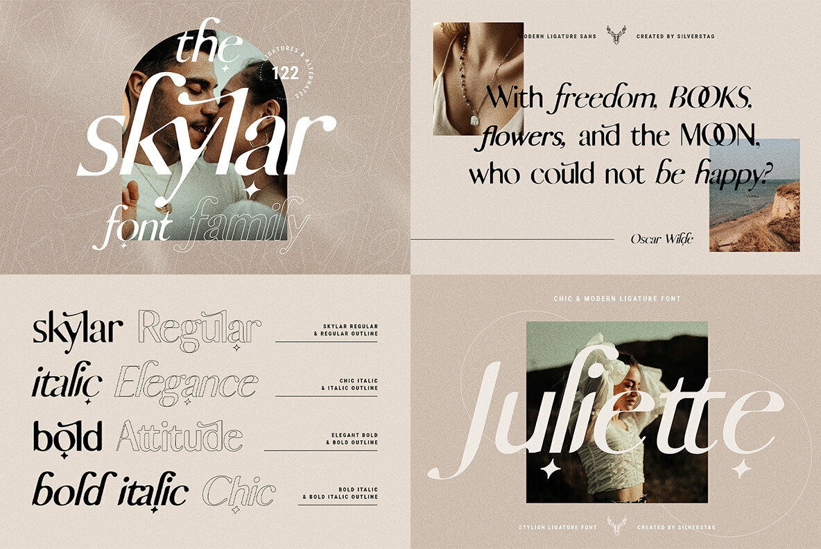 SilverStag   Black Friday Font Bundle 4