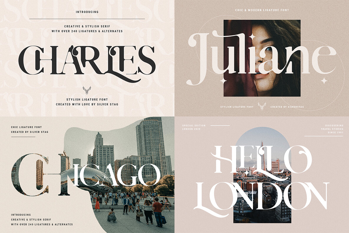 SilverStag   Black Friday Font Bundle 11