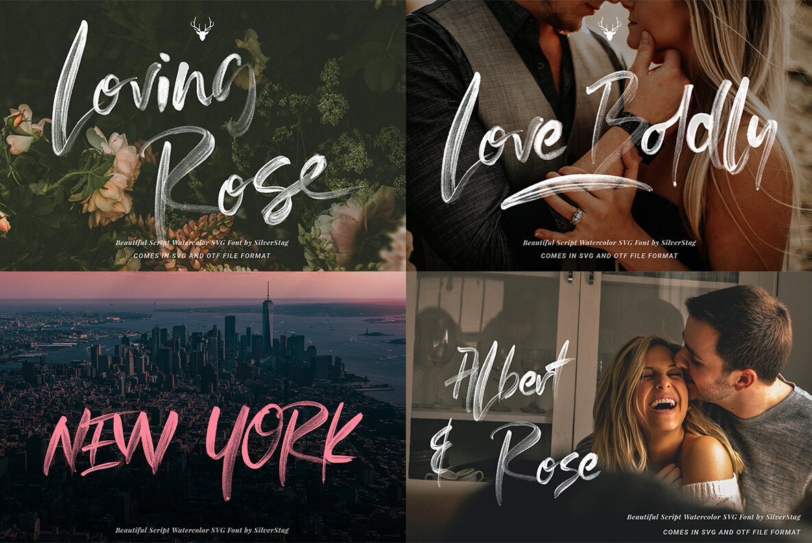 SilverStag   Black Friday Font Bundle 23