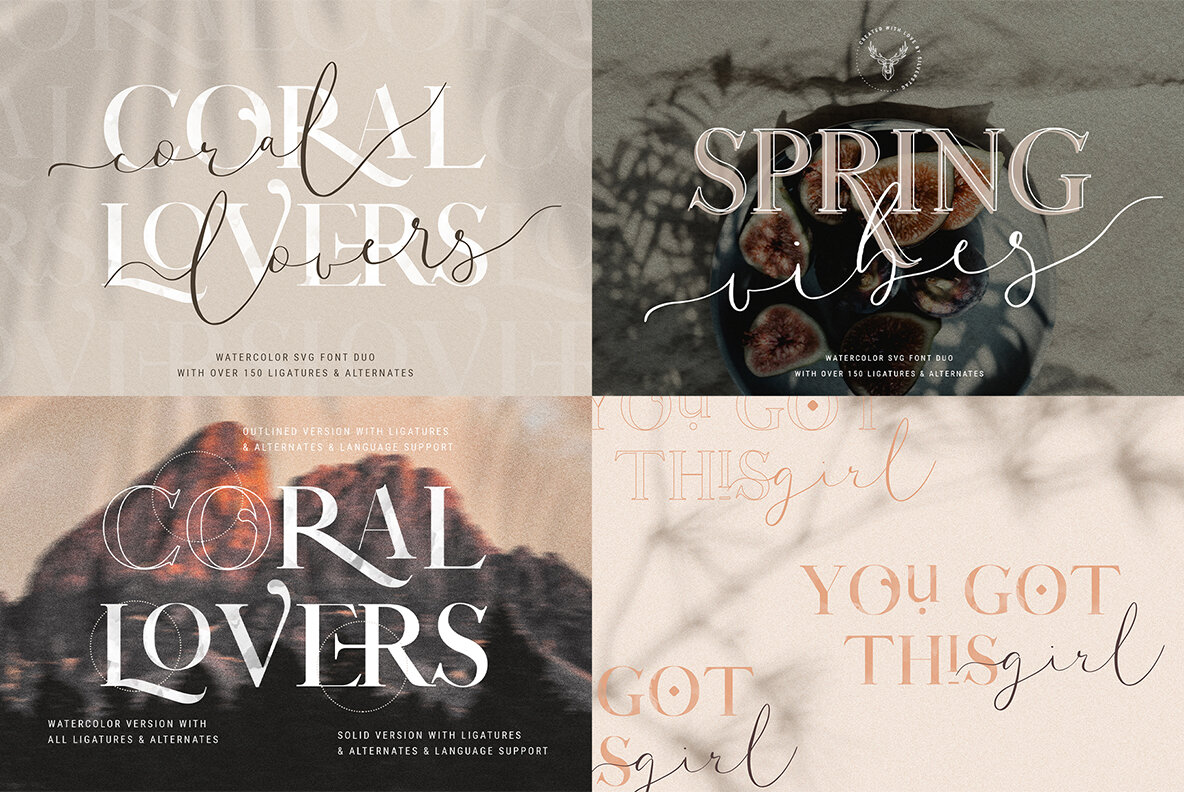 SilverStag   Black Friday Font Bundle 24