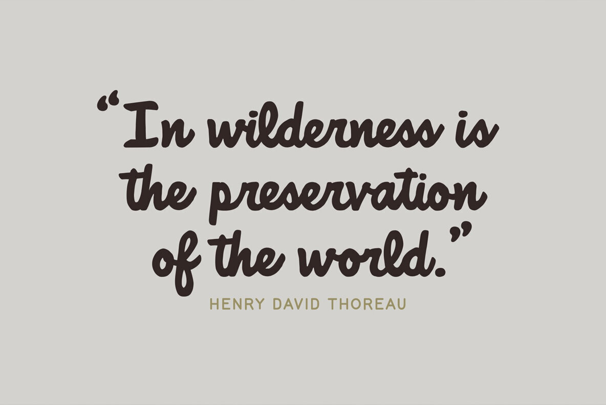 National Forest Font Duo 3