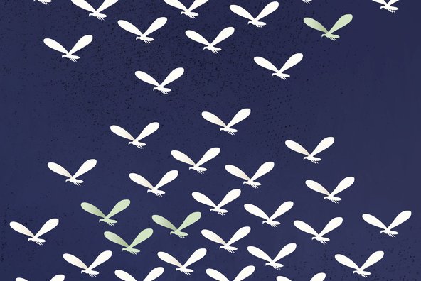 Flying Objects Flying Objects
