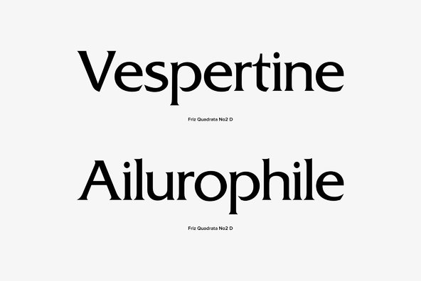 Friz Quadrata Friz Quadrata
