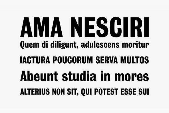 Grotesque No 9 Grotesque No 9