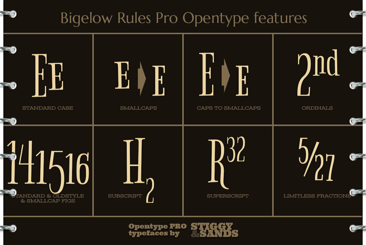 Bigelow Rules Pro 4