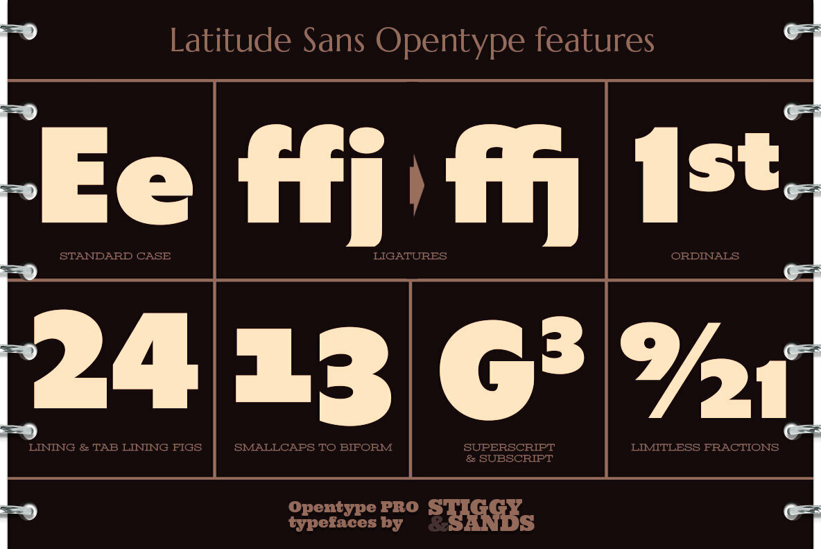 Latitude Sans 4