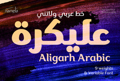Aligarh Arabic