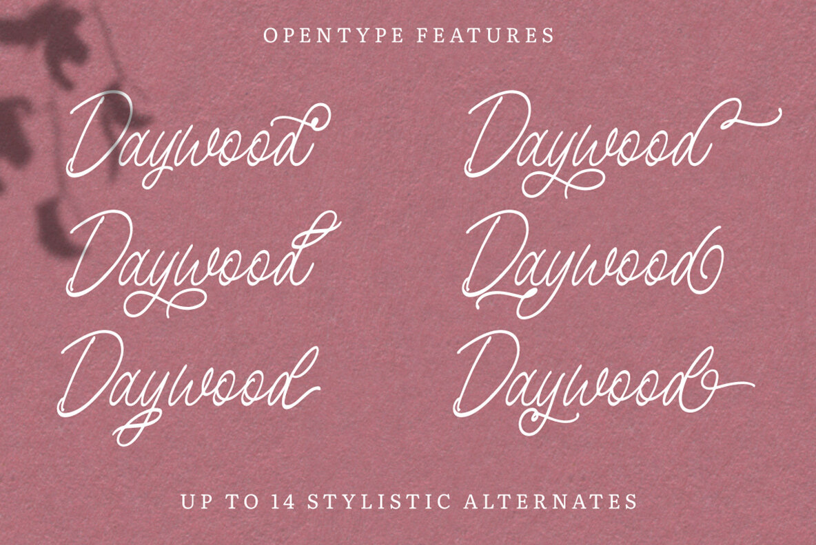 Birdspring Signature 6