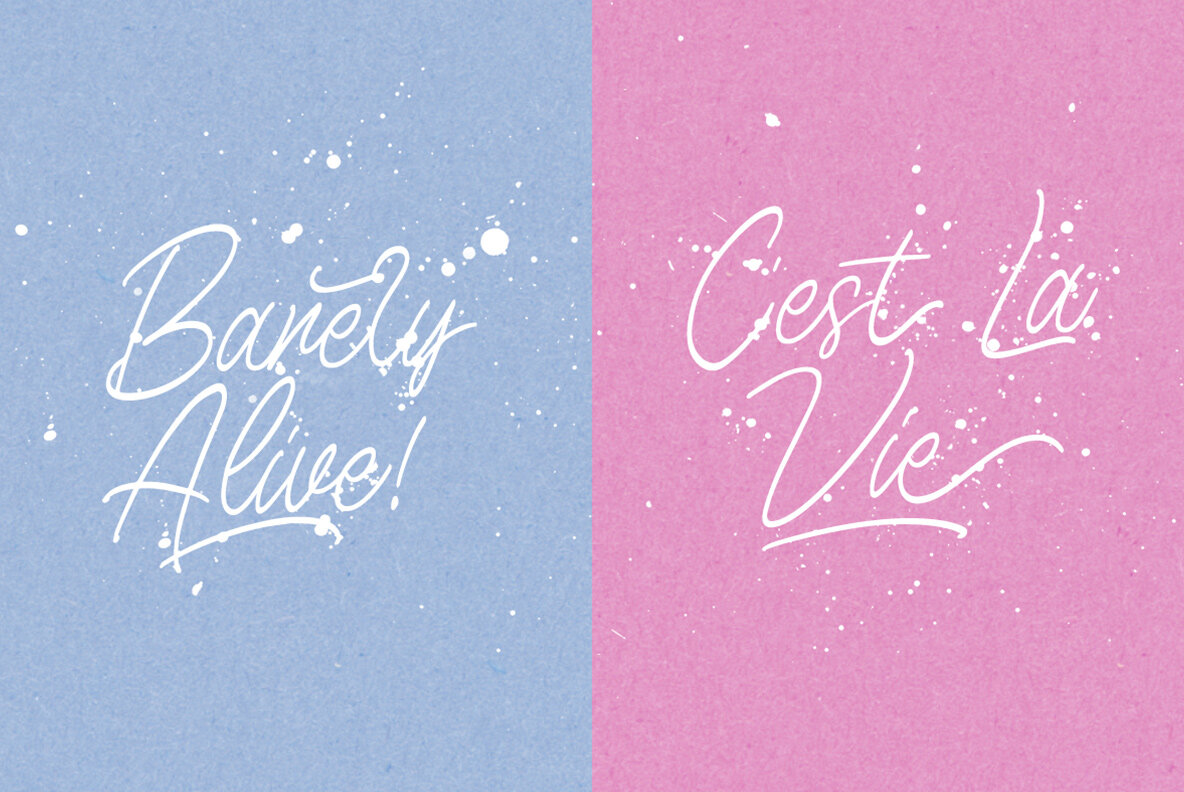 Birdspring Signature 10