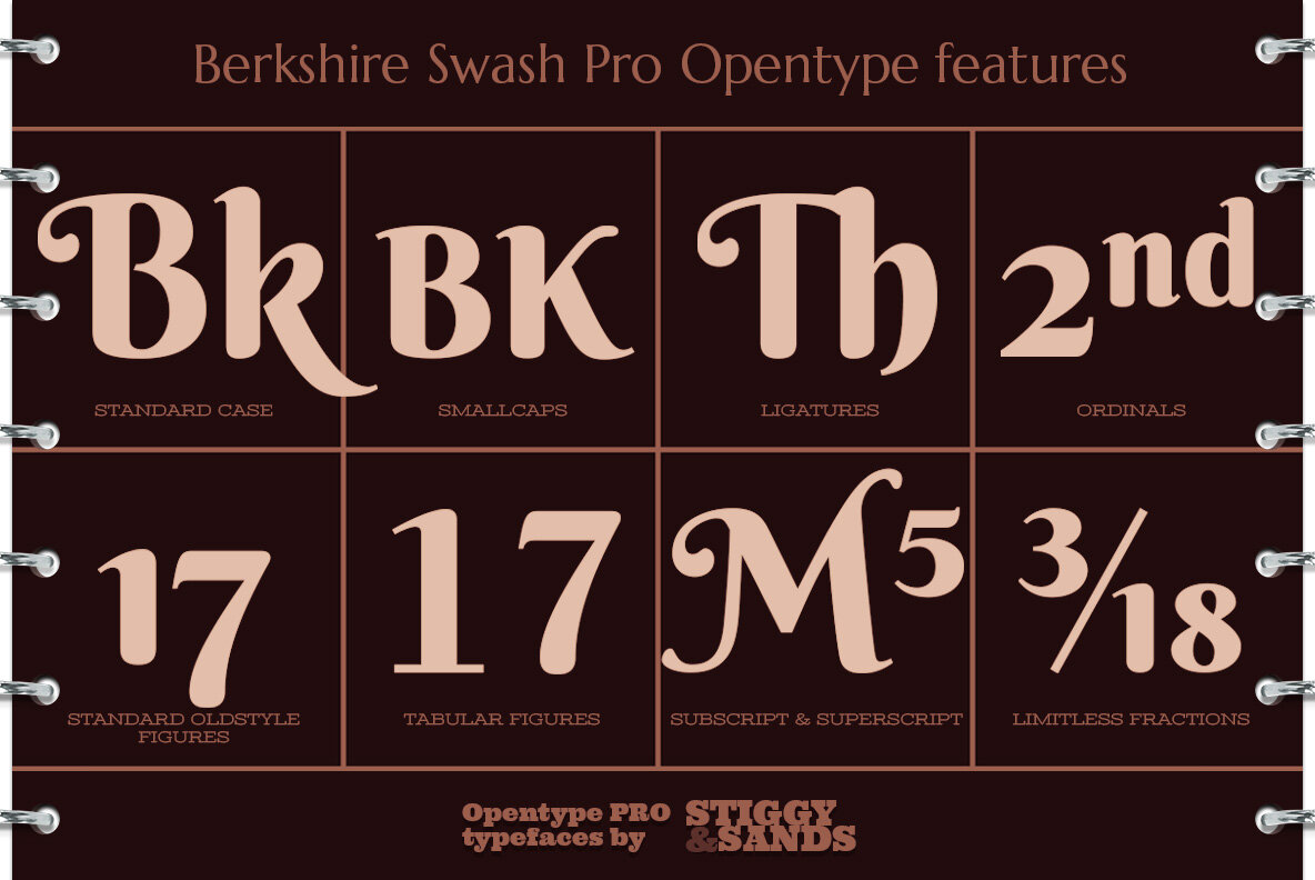 Berkshire Pro 6