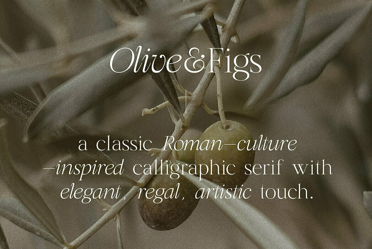 Olive and Figs 2