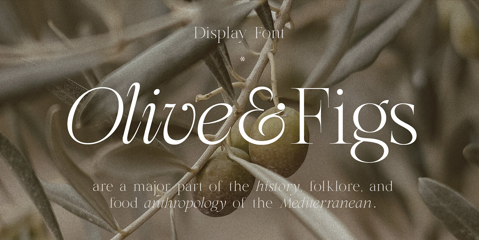Olive and Figs