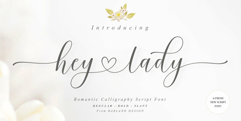 Hey Lady Script