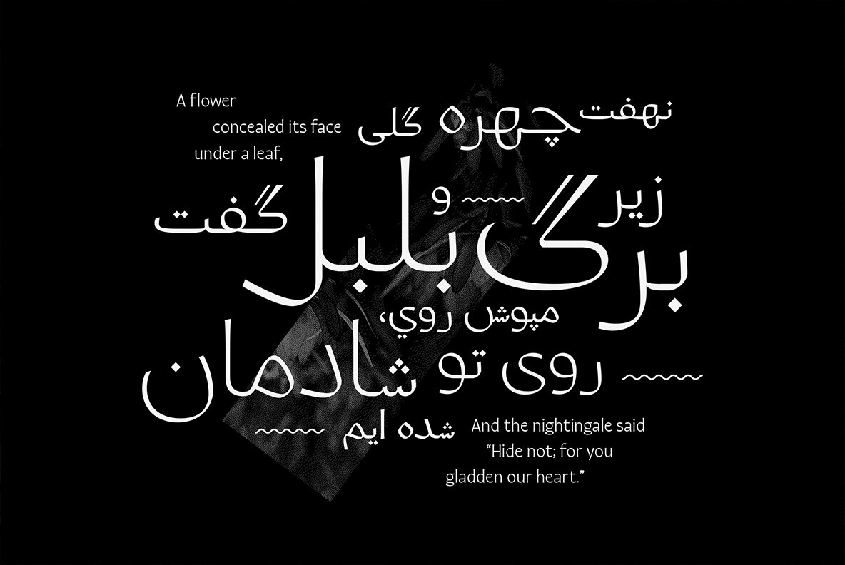 Quiverleaf Arabic CF 6