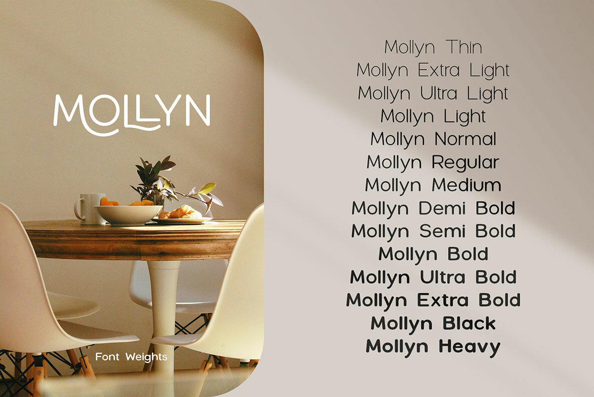 Mollyn 8