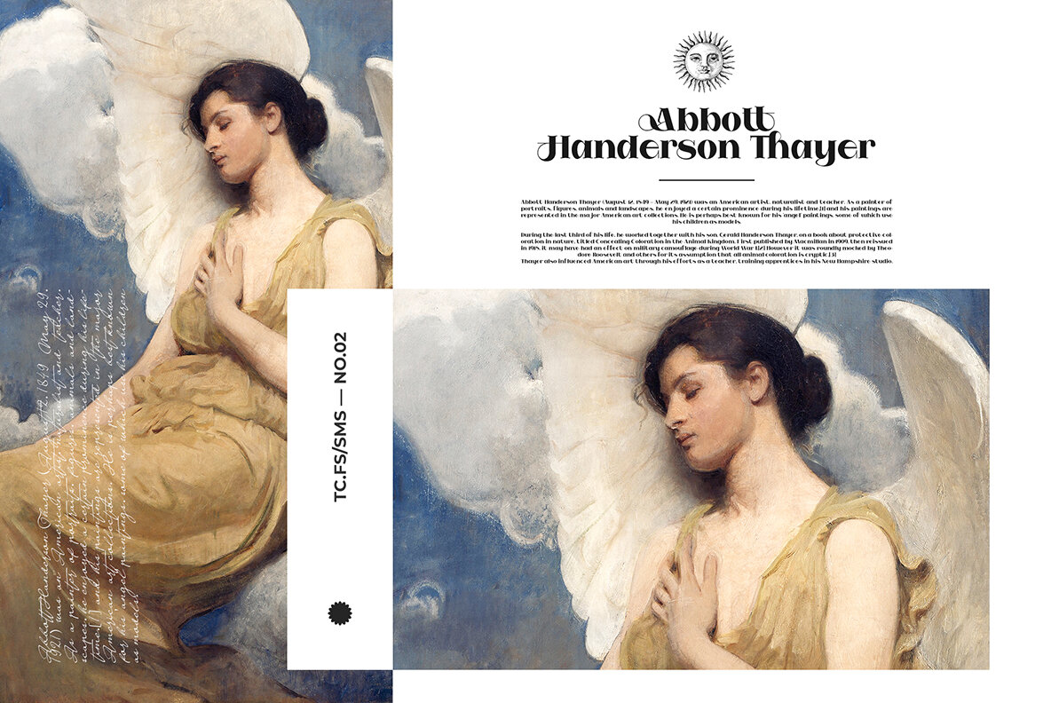 Stussyte Font Duo 11