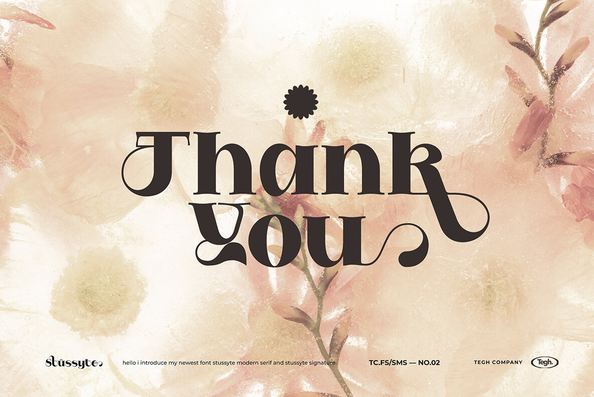 Stussyte Font Duo 15