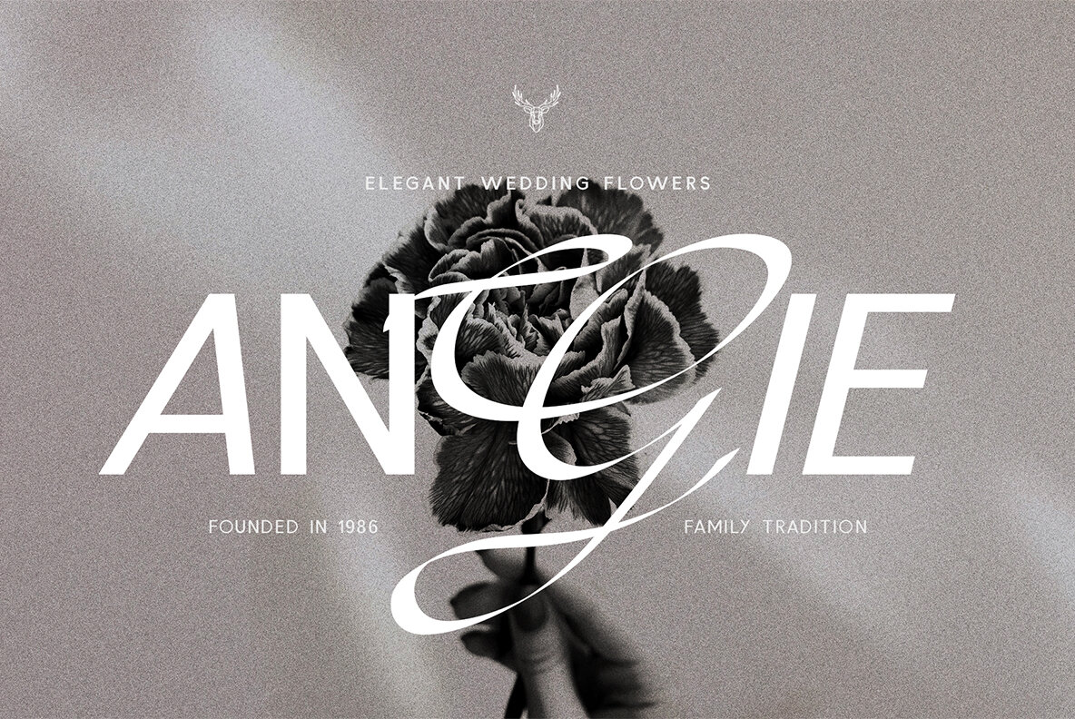 French Lovers Font Duo 18