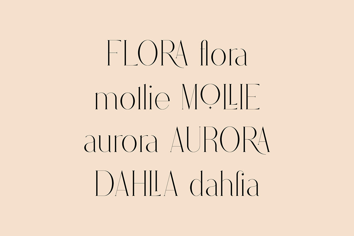 Fedotov Font Love Bundle 14