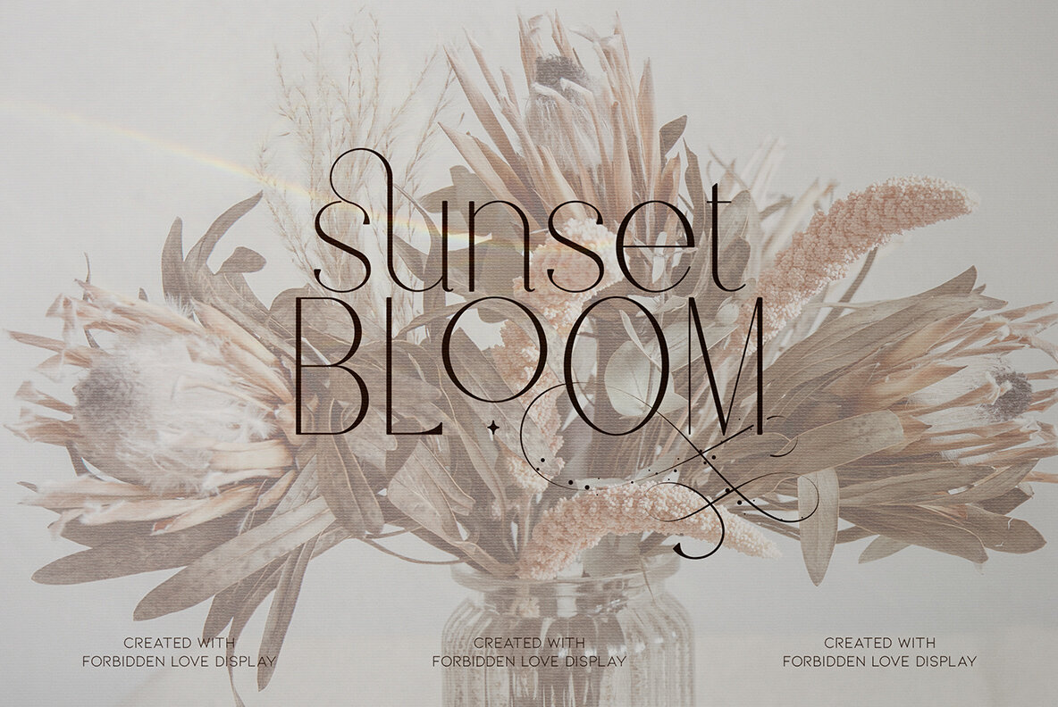 Fedotov Font Love Bundle 22