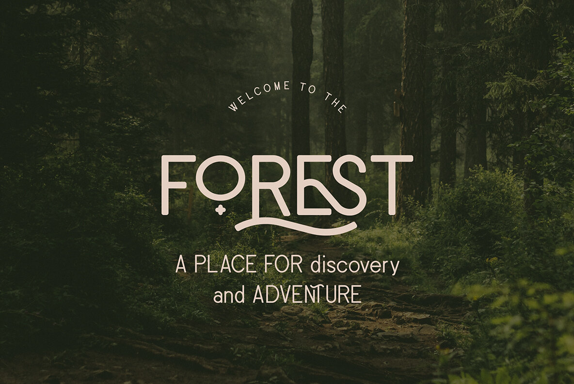 Fedotov Font Love Bundle 24