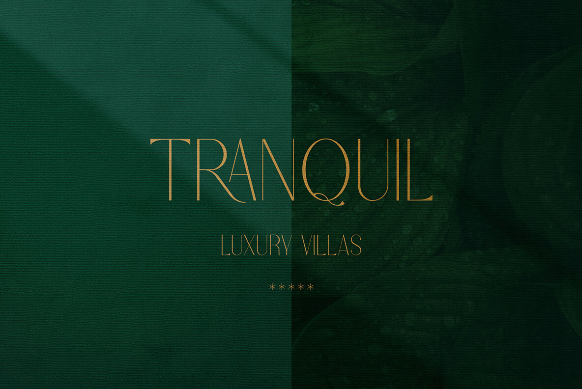 Fedotov Font Love Bundle 25