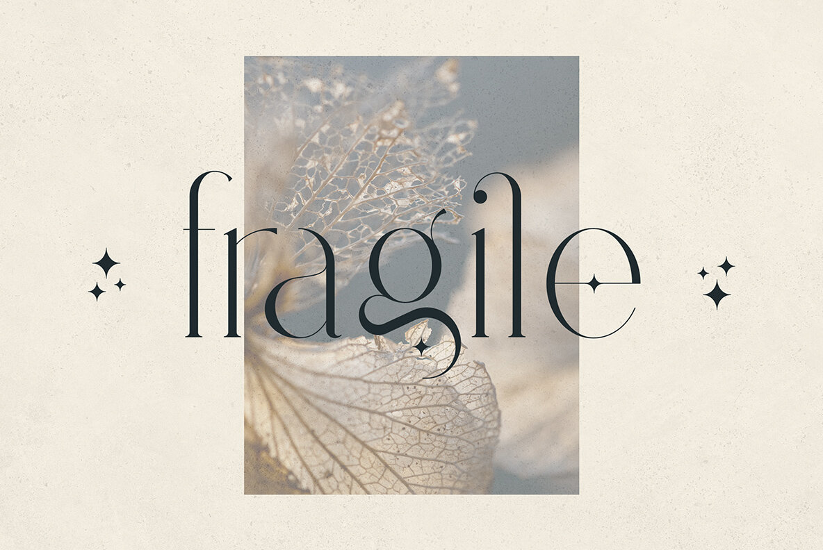 Fedotov Font Love Bundle 33