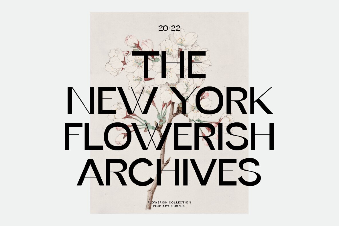 Geffroge Authentic 6