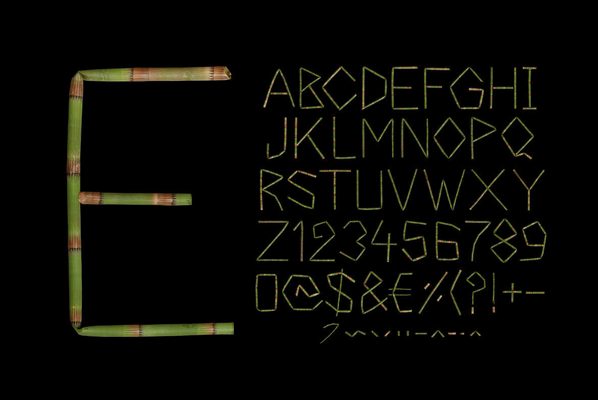 Bamboo SVG Font 2