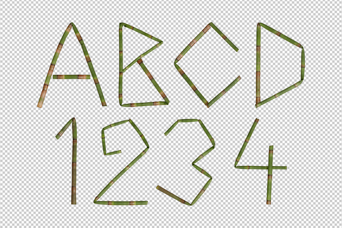 Bamboo SVG Font 9