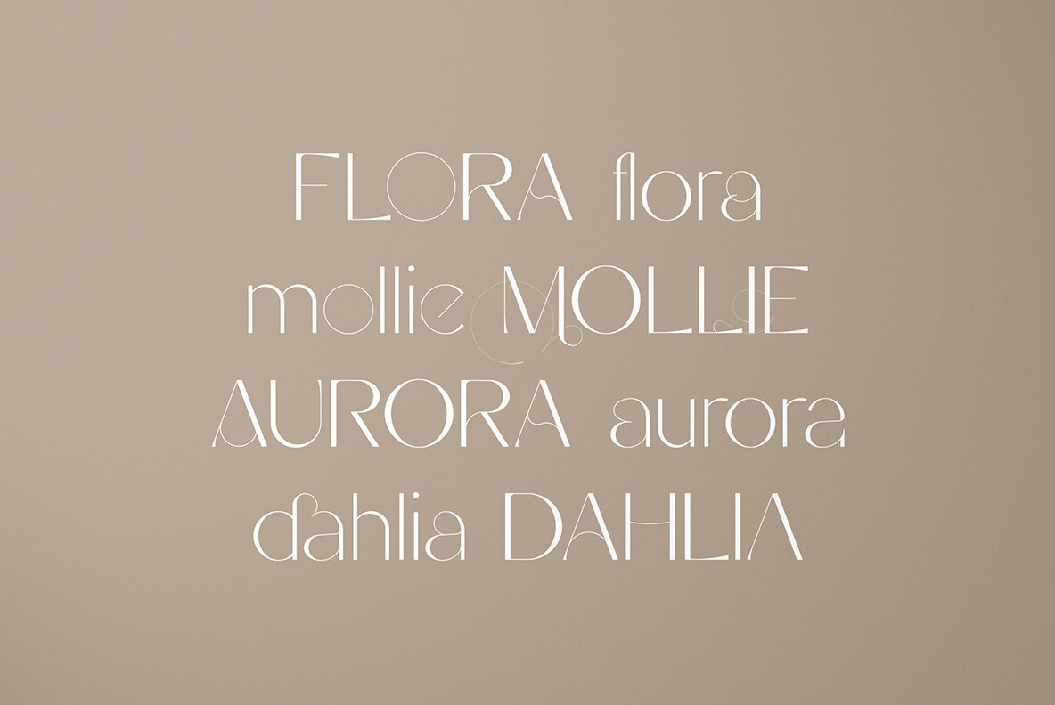 Stefania Font Duo 14