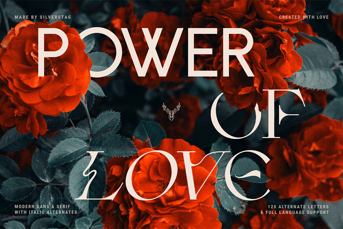 Fleur Display Font Duo 9