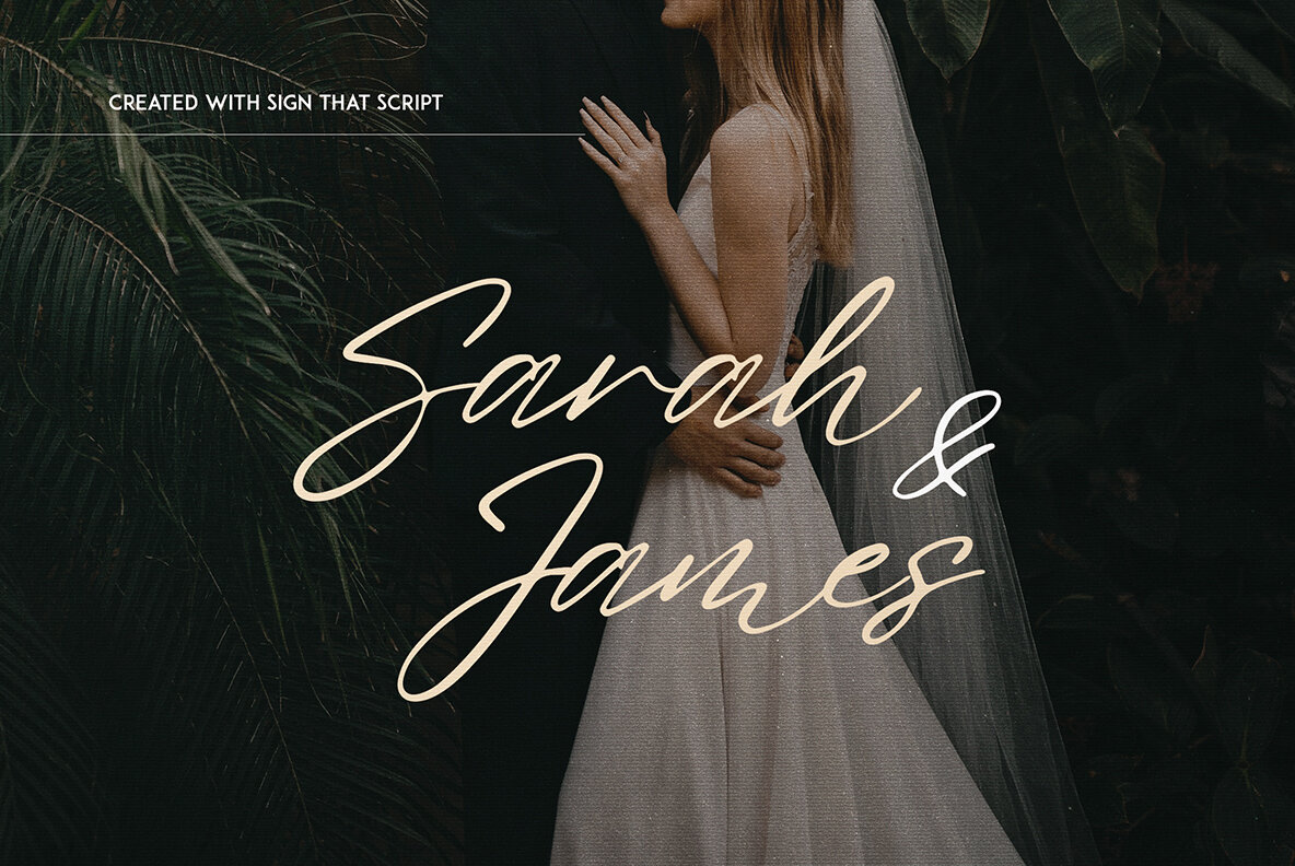 Fedotov Amazing Font Bundle 11