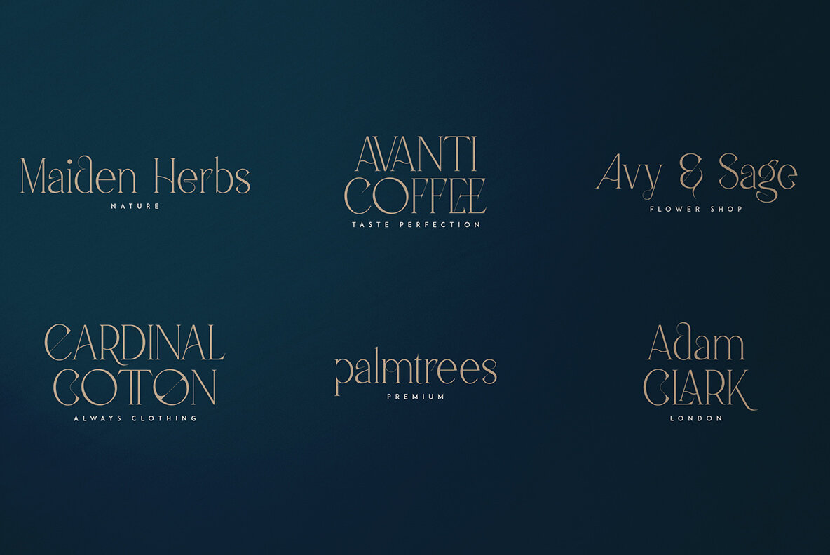 Fedotov Amazing Font Bundle 16