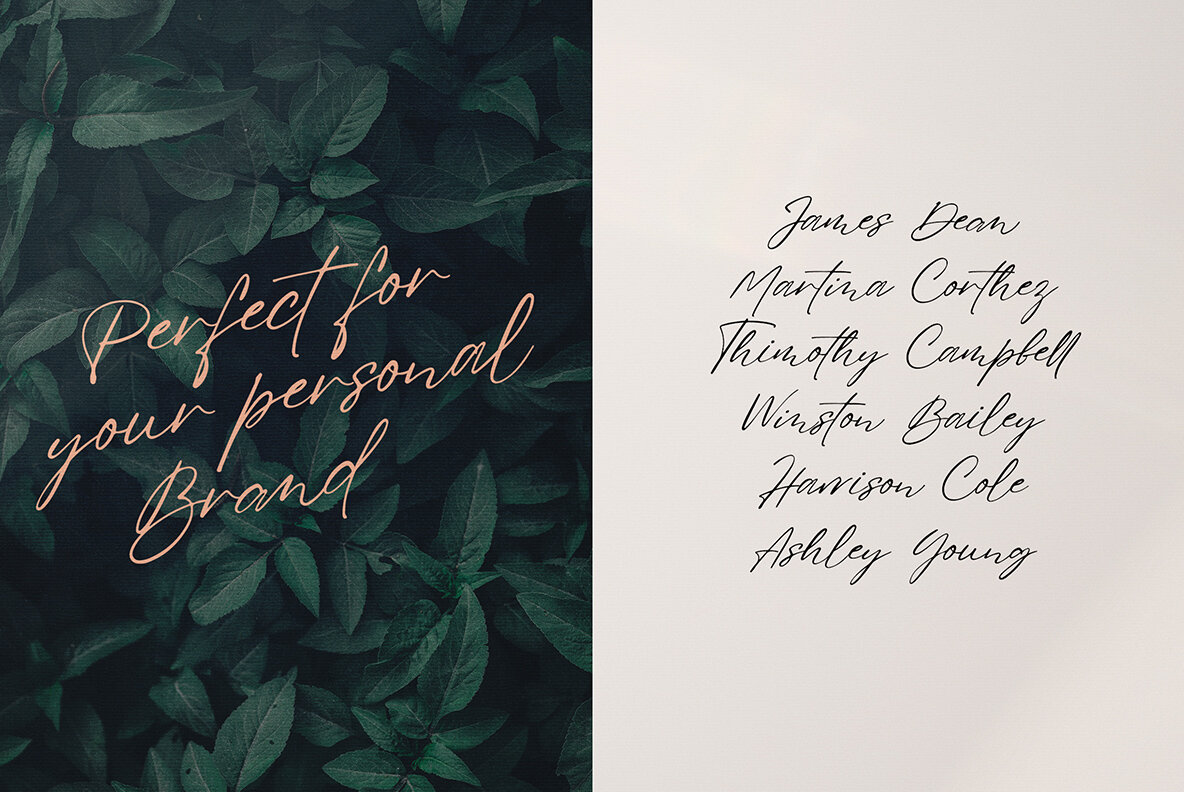 Fedotov Amazing Font Bundle 27