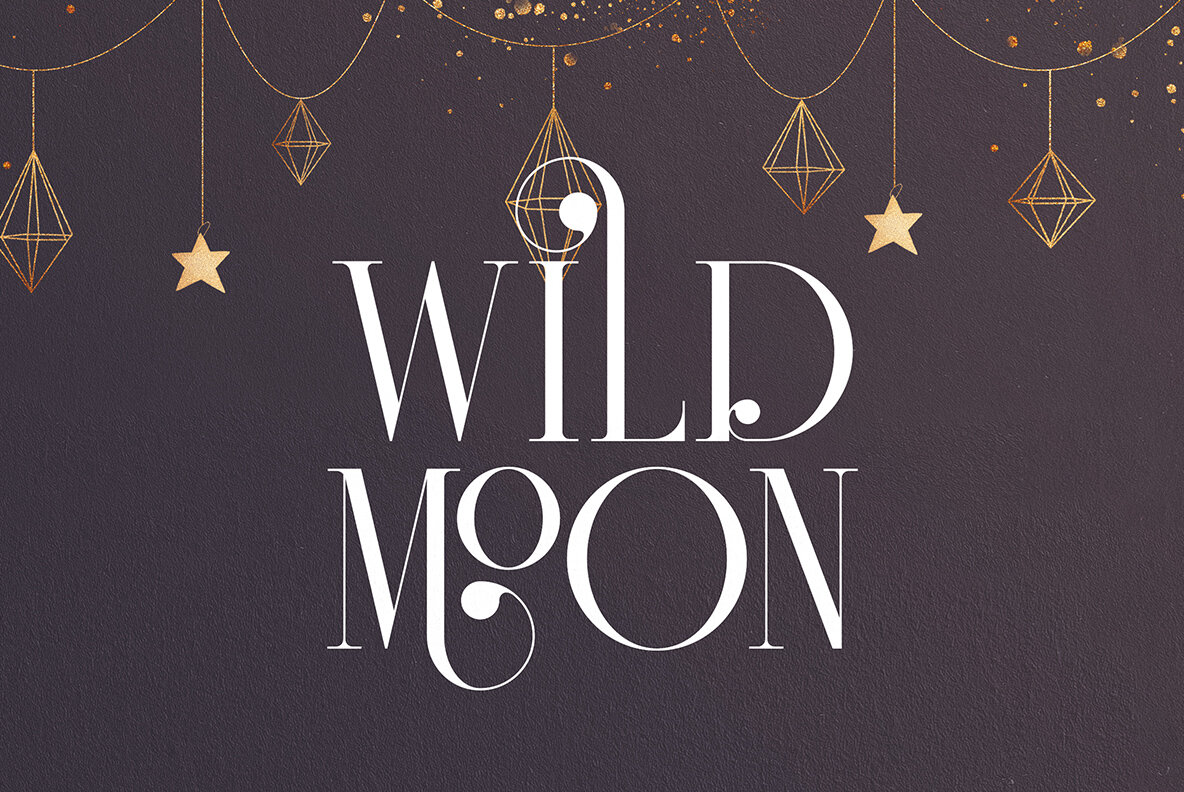 Fedotov Amazing Font Bundle 42