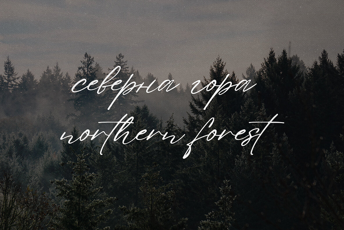 Fedotov Amazing Font Bundle 44