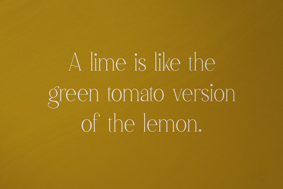 Fedotov Amazing Font Bundle 45