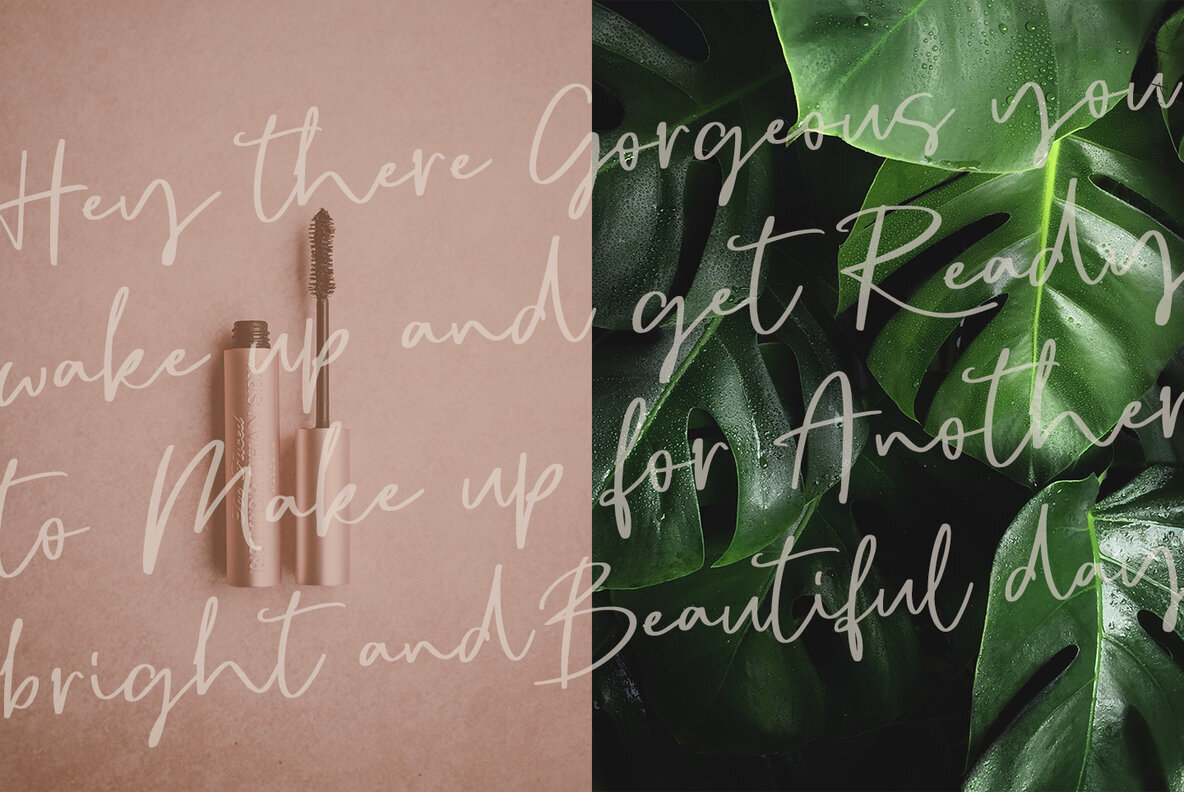 Sophia Reign Font Duo 5