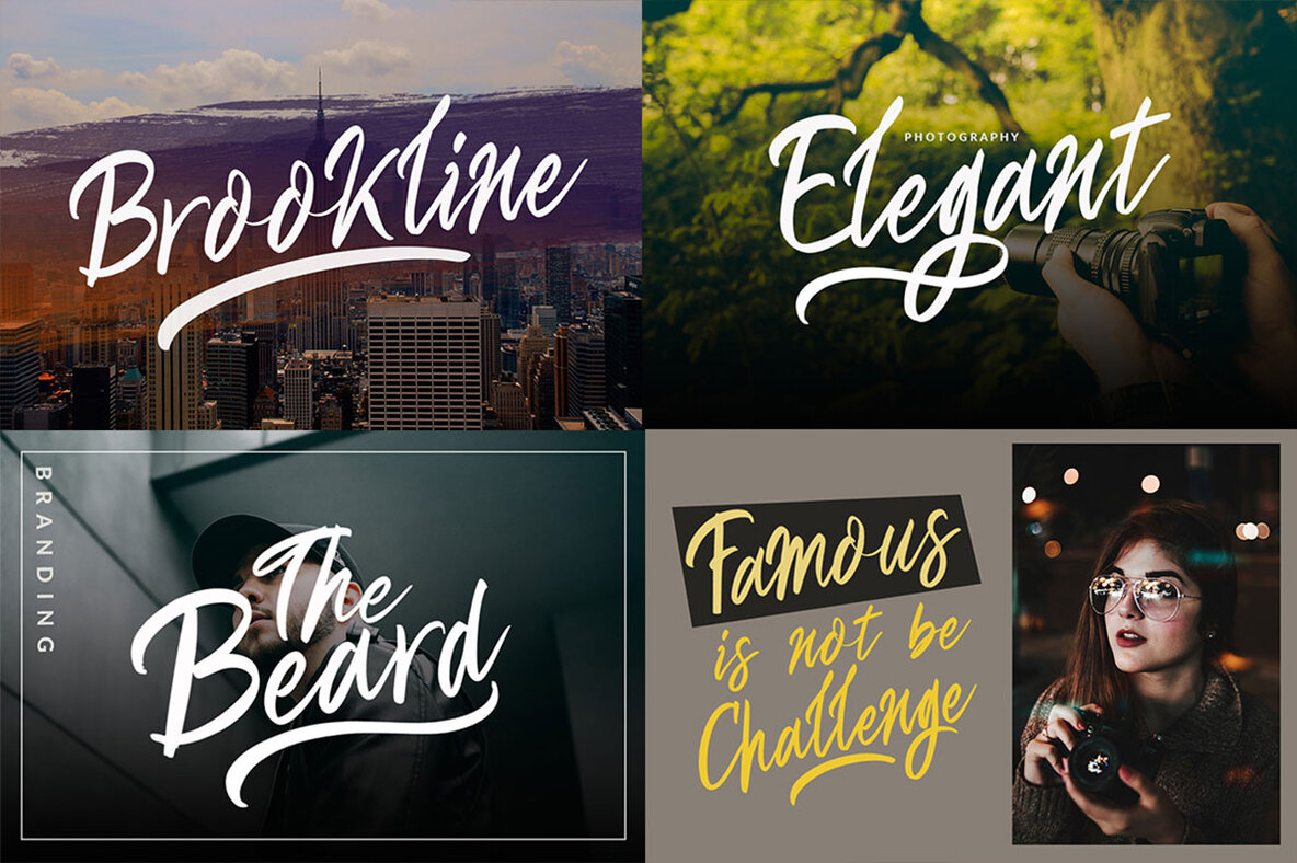 Beautiful Script Fonts Mini Bundle 8