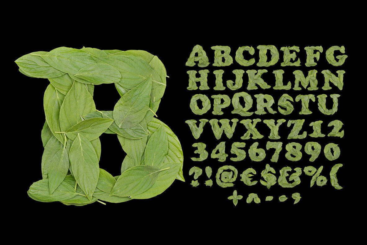 Cooper Leaf SVG Font 2