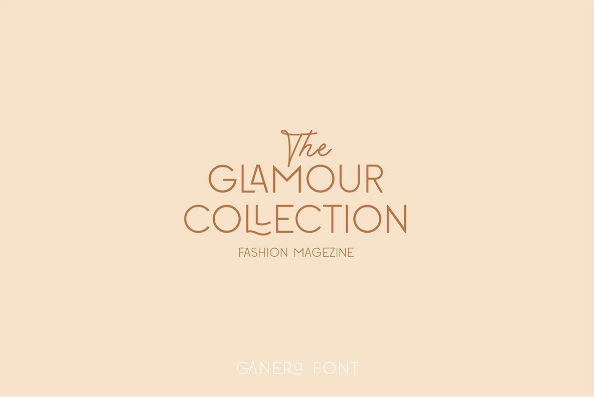 Canera Font - YouWorkForThem