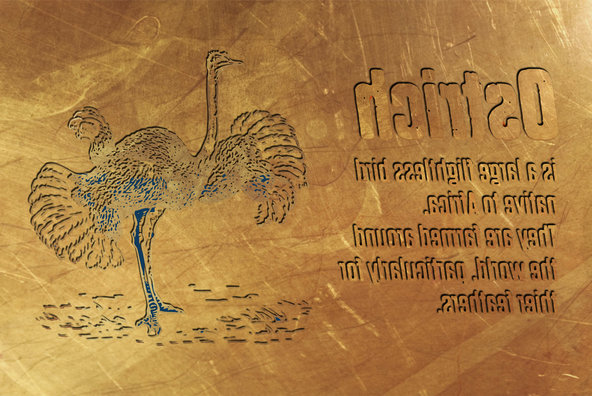 Dharma Gothic P Dharma Gothic P